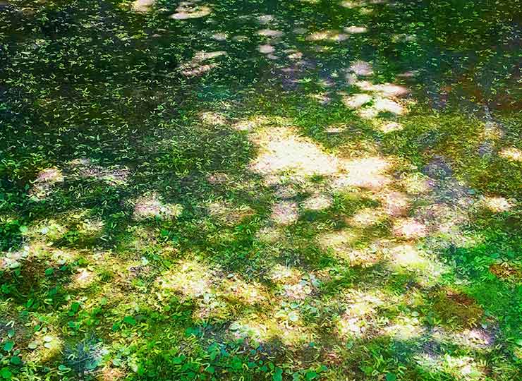 印象派とは?誕生の背景や特徴、代表的な画家について解説します