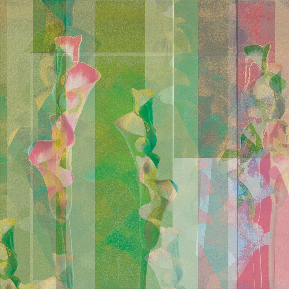 華と音色