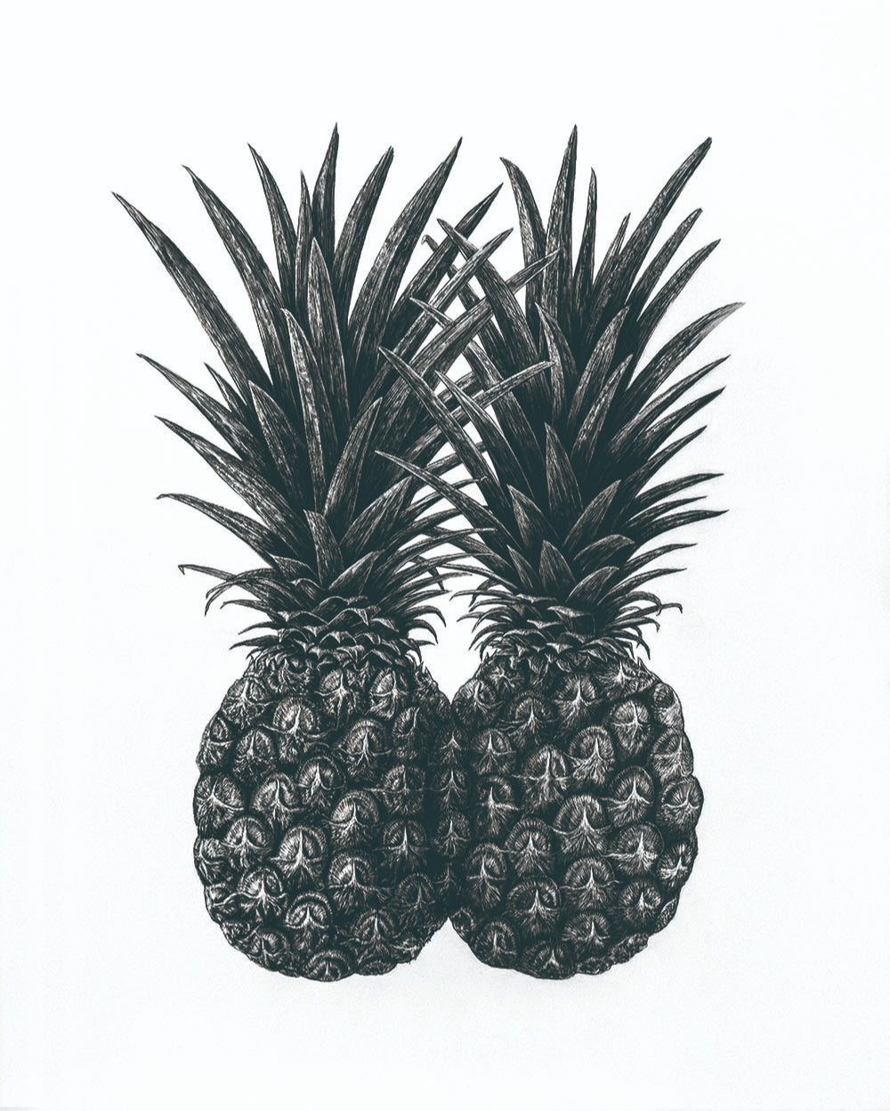 venn diagram(Pineapple)