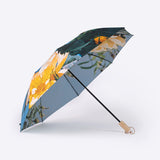 雨傘 | 晴雨兼用折りたたみ傘 | What's in a name?