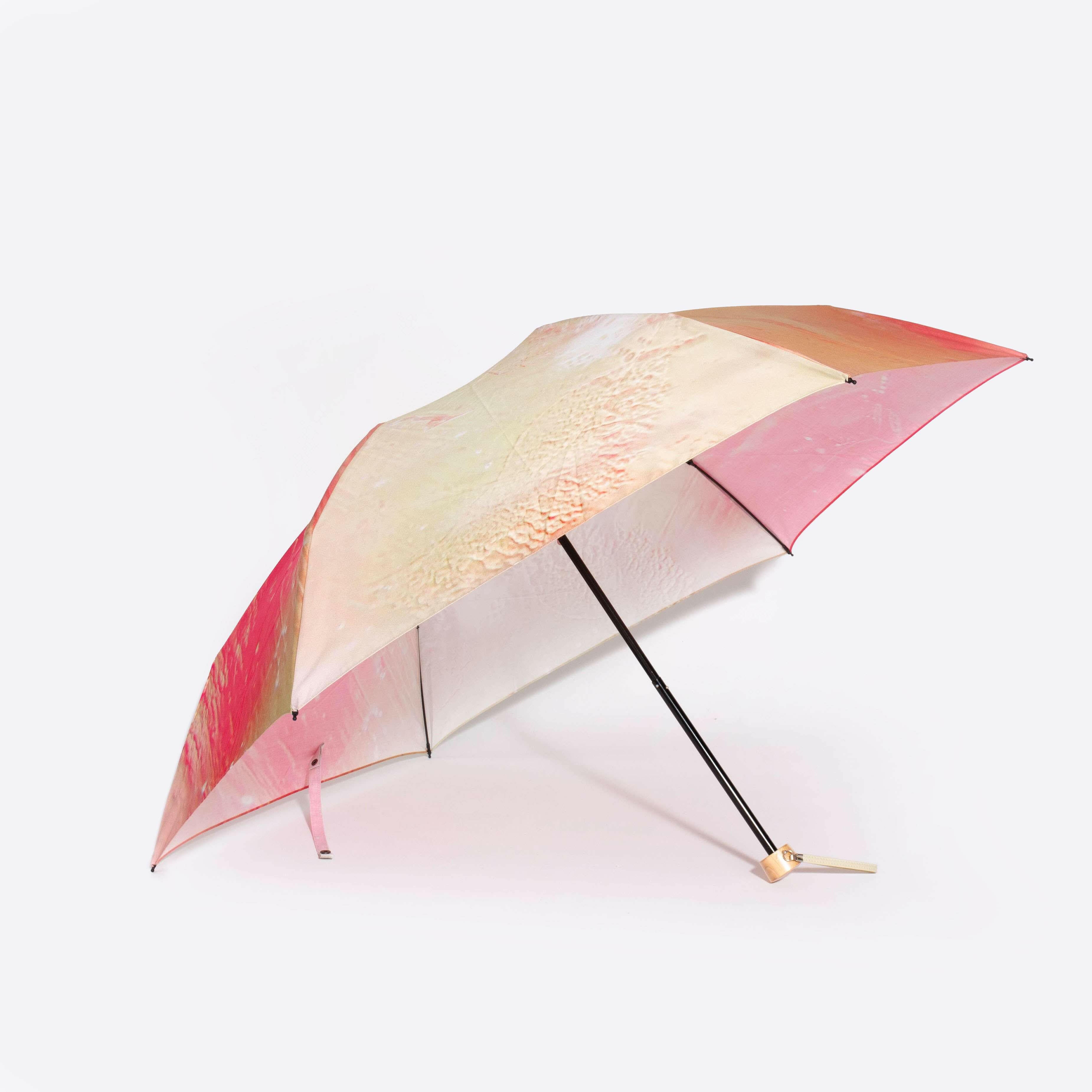 日傘 | 晴雨兼用折りたたみ傘 | microscope B