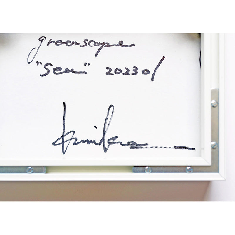 greenscape "sea" 202301 | EnoR | KUMIKO TAMURA