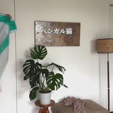 麻のマルチクロス | 間仕切り | カーテン | 部屋でくつろぐベンガル猫