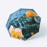 雨傘 | 晴雨兼用折りたたみ傘 | What's in a name?