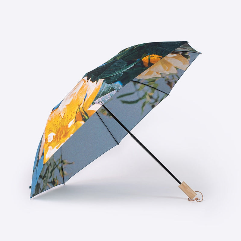 雨傘 | 晴雨兼用折りたたみ傘 | What's in a name?