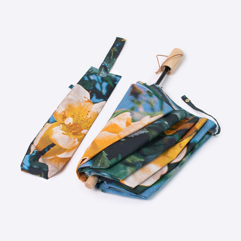 雨傘 | 晴雨兼用折りたたみ傘 | What's in a name?