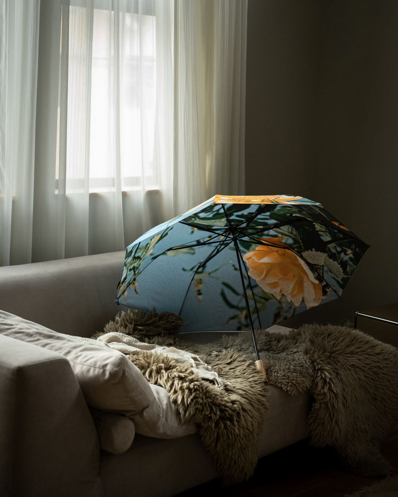 雨傘 | 晴雨兼用折りたたみ傘 | What's in a name?