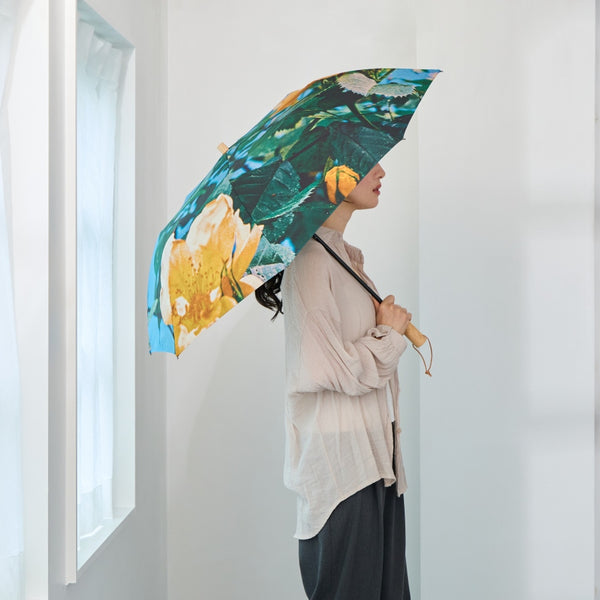 雨傘 | 晴雨兼用折りたたみ傘 | What's in a name?