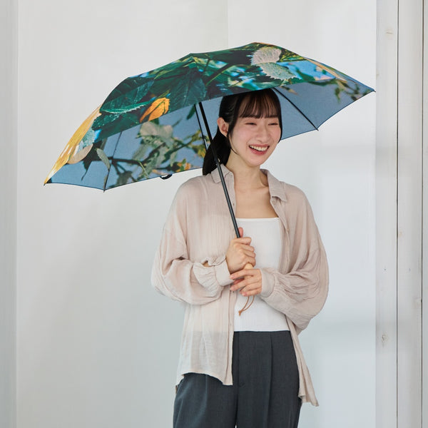 雨傘 | 晴雨兼用折りたたみ傘 | What's in a name?