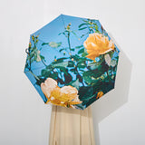 雨傘 | 晴雨兼用折りたたみ傘 | What's in a name?