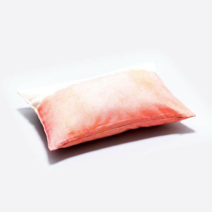 クッションカバー34×47 | ホント、ホント、ウソ.