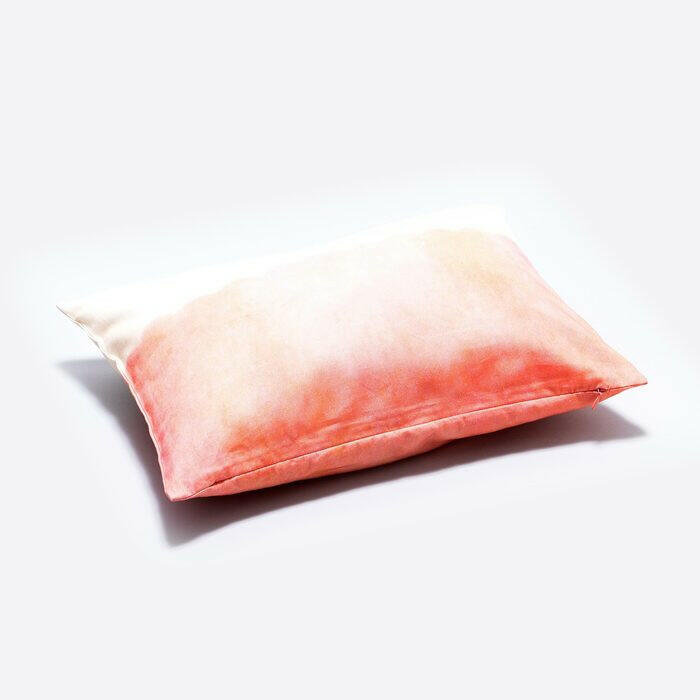 クッションカバー34×47 | ホント、ホント、ウソ.