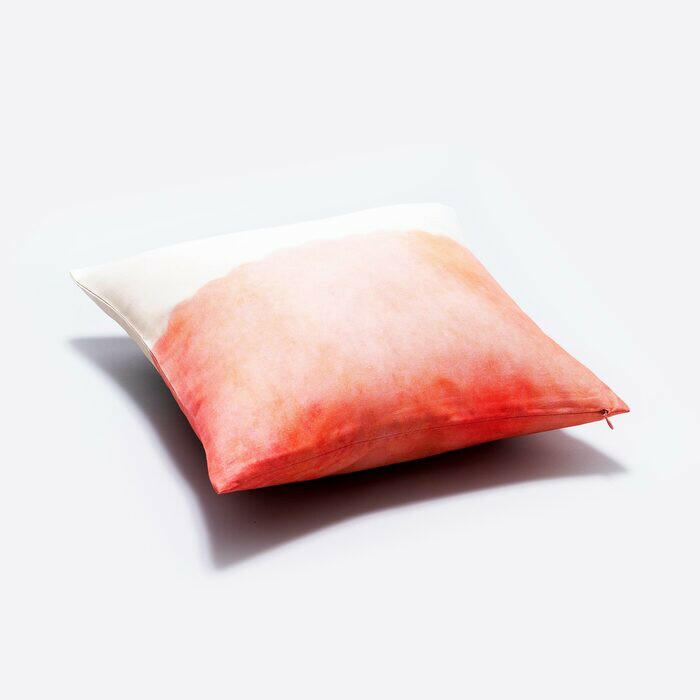 クッションカバー45×45 | ホント、ホント、ウソ.