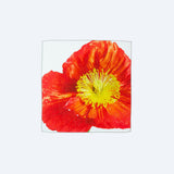 リネンキッチンクロス | POPPY | Aタイプ.